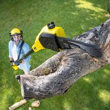 Best Grass Overseeding  in Wickerham Manor Fisher, PA