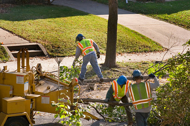 Best Tree Preservation Services  in Wickerham Manor Fisher, PA